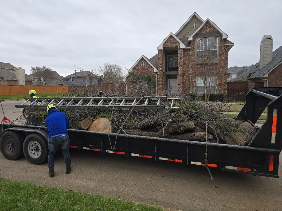 Expert Tree Fertilization with proper safety equipment in Saunderstown